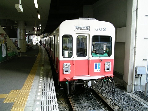 Ƃł800`