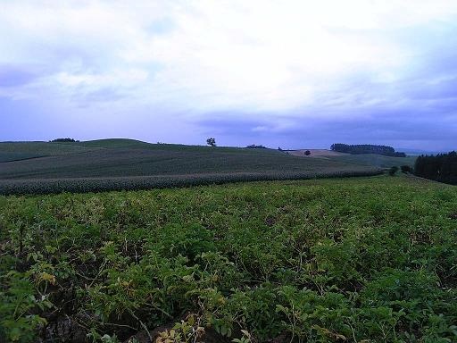 }ChZűu